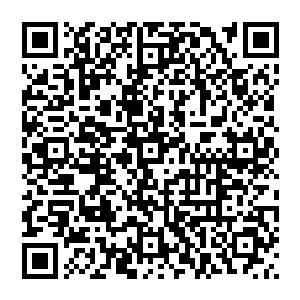 那么到时候受益的将会是整个儿人类……我是在为了整个儿人类的进化和发展而不余遗力的进行研究二维码生成