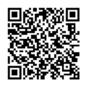 那么只怕这支异形军团的规模和实力也会呈千百倍的提升二维码生成