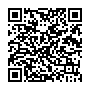 那么多正经商家月月为江州的税收工作做出卓越的贡献呢二维码生成