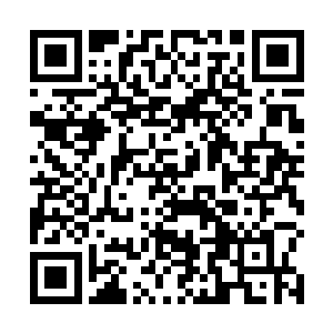 那么多部族为什么在狩猎归来后会搞全部族的幕天大战二维码生成