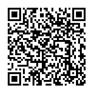 那么如果今后我们华夏的科学院用这件空间神器继续进行研究的话二维码生成