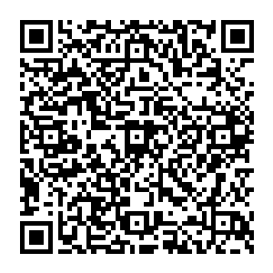 那么它会立即从最为强大的盟友变成最为恐怖的敌人……而刚才这一只弑神虫也已经用事实证明了这一切的二维码生成