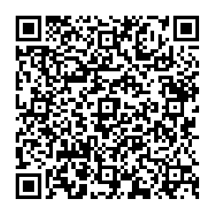 那么就只能够和叶秋他们去他们的大本营去通过他们的训练然后让自己对血液的敏感程度转化为对自己有利的优势二维码生成