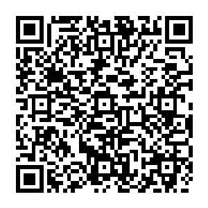 那么就只能是麻生野了……虚弱不堪的麻生野根本无法抵挡实力堪称全盛时期的秦方二维码生成