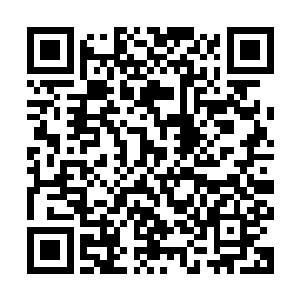那么就算他们两人倾尽全力也未必能将塔尔塔罗斯伤到这种程度二维码生成