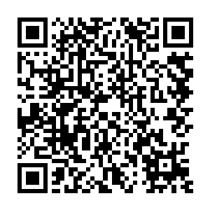 那么就算江少游没有在供电系统恢复之前返回到他的86号生物实验室二维码生成