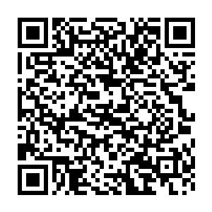 那么就算等下将这里所有的野狼全都杀光……但只要在这片原始森林里二维码生成