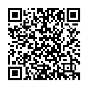 那么很容易就可以将实力提升上去的……即便是达到大宗师级二维码生成