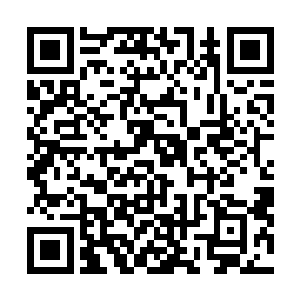 那么我们的原计划肯定是行不通了……可恶……智将鸿鹄二维码生成