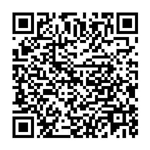 那么我们肯定不会在节目上讨论发生在意大利的一次足球流芒冲突事件二维码生成