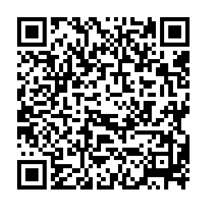 那么我便试试我这修炼引龙诀的肉身力量到底强横到了什么程度了二维码生成