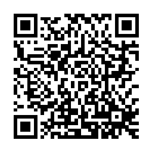 那么我现在就告诉你……你们必须要保证我妈和我小妹的安全二维码生成