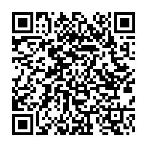 那么排除掉威胁整个森林的低等生物――人类就是他义不容辞的责任了二维码生成