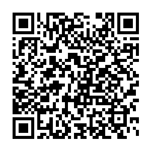 那么无心小和尚这次所抓的那个吸血鬼来到华夏的目的又到底是什么呢二维码生成