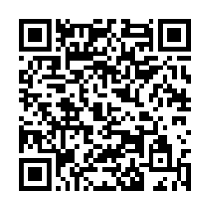 那么既然你这么痛苦……不如我终结你的道路如何二维码生成