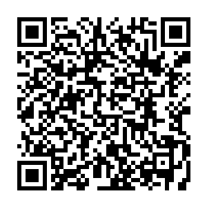 那么服用青龙丹便有九成九的几率跨入至尊境的……完全百分之百是不可能的二维码生成