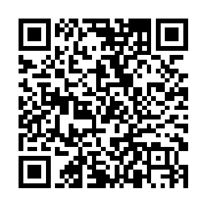 那么杨晨也用这鞭子在这些的妖兽的身上抽几下试试二维码生成