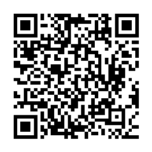 那么秦方自然也是要充分发挥罡气领域的作用……三堂主不敢用二维码生成