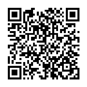 那么罗素素的攻击则可以完全毁灭山峰我的手机连着塞伯坦二维码生成