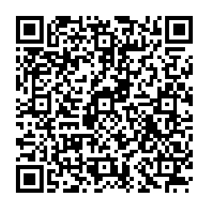 那么老夫倒是要看看你们家族的长辈会不会看着你被这么多人羞辱还要当缩头乌龟二维码生成