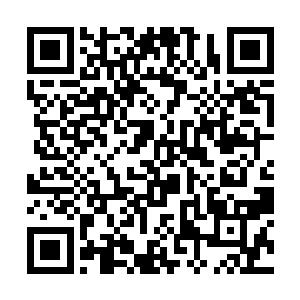 那么自己一旦说出有一尊完全和人类思维一样的管家二维码生成