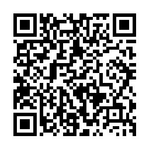 那么至少也会在楚旬和愤怒的拼死反击之下折损至少三分之一二维码生成