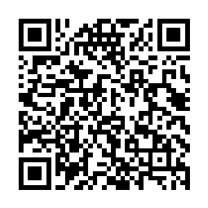 那么被重点照顾的学徒就绝对抗不住绮罗天织的攻击二维码生成