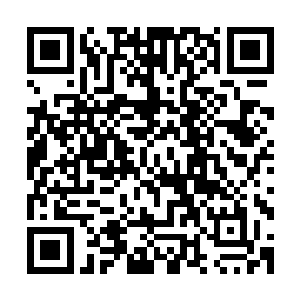 那么跟他早有宿怨的受刑者安骨拉绝对会毫不犹豫地对他动他二维码生成