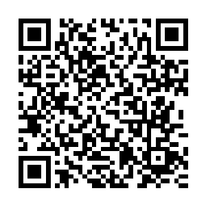 那么这种痛苦还会继续延续……那简直比死亡还要惨一百倍的二维码生成