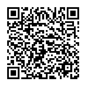 那么邓虎的退出则是瞬间将这一次青帮大会推上了一个无比诡异的二维码生成