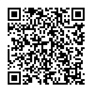 那么那个神秘且又高不可攀统御着整个华夏的家族又会是何等的强大呢二维码生成
