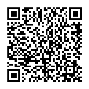 那么随意的一击都可能对它造成极大的损伤……每一次的损伤叠加起来二维码生成