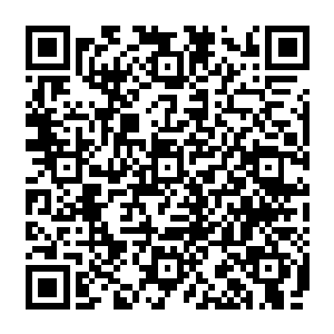 那也就意味着陆为民可以肆无忌惮的动用检察院的力量来插手任何一个地域任何一个领域了二维码生成