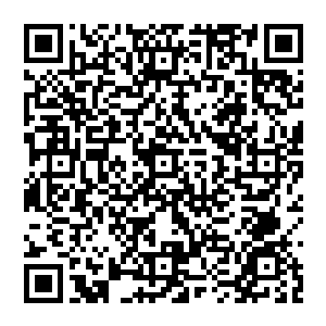 那也顶多只能算是勉强够得上大宗师级的……也就只是勉强可以破这个大宗师级后期高手的防御而已二维码生成