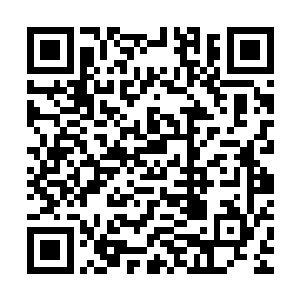 那二品仙器上的密密麻麻的细小漩涡便疯狂地开始吸收血海仙气二维码生成