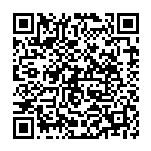 那些上午到苏家拜年拿到了两块钱红包的孩子看到苏青叶就非常高兴二维码生成