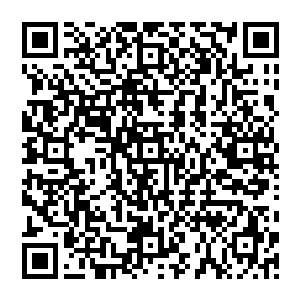 那些下面的人肯定也不会给他们娘家人孝敬了……眼看着曾经无限风光的庞大家族就此衰落下去二维码生成