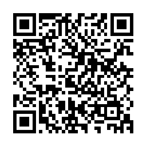 那些与片方签署了净收益分成协议的主创人员是分不到任何钱的二维码生成