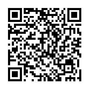 那些佣兵此时心中已经无法用什么词来形容他们的震撼了二维码生成