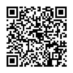 那些修仙者看见流墨墨顿时掩不住怒火的目光全部投了过来二维码生成