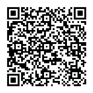 那些刚刚才被楚旬轰飞的海幽灵也再次挥动他们那长度几乎是身体十倍的伞状触须二维码生成