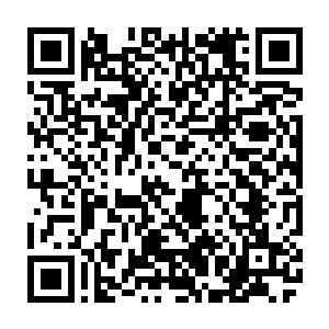 那些刚刚死亡的不死生物竟然会转变成类似大灾变前西方传说中的亡灵生物二维码生成