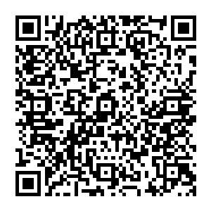 那些原本不管楚旬等人如何屠戮都仿佛不知恐惧一般的恶鬼们顿时仿佛是忽然被人当头棒喝一般二维码生成