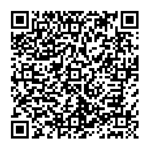 那些原本悍不畏死冲向楚旬等人的圣天使们也纷纷仿佛是受到了某种强大力量的干扰和控制一样二维码生成