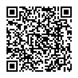 那些原本正在吃饭的队员此刻却是一个二个瞪大了双眼看着林辰之前的餐桌上二维码生成