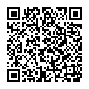 那些参与到巡回演唱会之中的歌迷也许在当下无法了解这件事的意义二维码生成