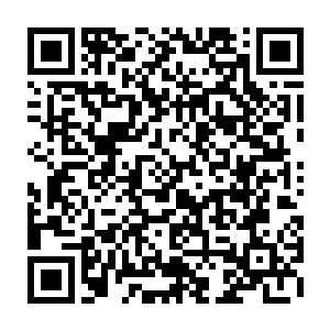 那些变成行尸走肉的人对任何能量波动和从未出现在幻星海的东西都非常敏感二维码生成