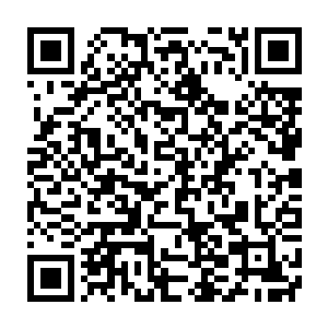 那些在凡人界的非人族修炼使用的也都是其他经过层层处理的伪能量二维码生成