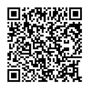 那些城墙上的恶魔也在众人的全力反击之下开始出现了不小的伤亡二维码生成