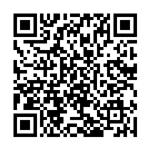 那些宗门的力量恐怕还会在这无尽森林中搜寻一阵子二维码生成